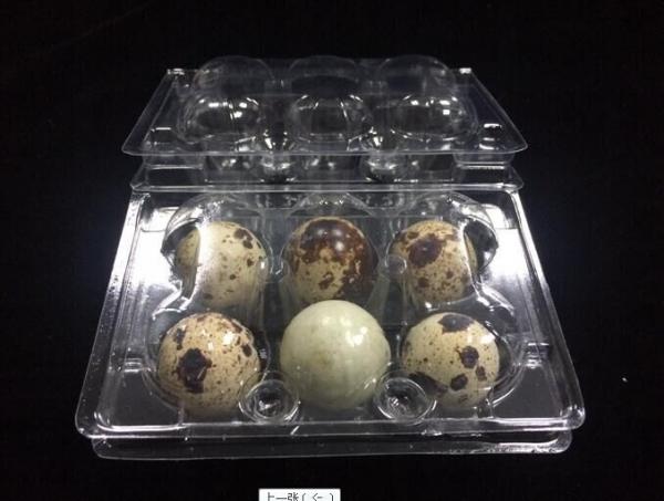 hot sells egg trays clear quail egg trays with 6 holes 2*3 holes PVC / PET /