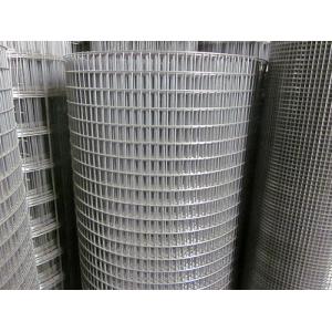 Electric Welded Steel Wire Mesh / 6.4mm×6.4mm Cold Rolled Steel Mesh