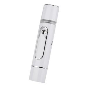 China Ultrasonic Electronic Face Mist Nano Water Spray For Face Massager supplier