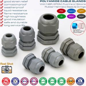 China Straight Cable Glands, Metric & PG Thread, IP68, Polyamide 6 (Nylon 6), Grey RAL7001 & 7005, for Junction Box supplier