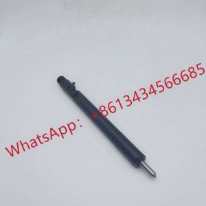 China EJBR02601Z Delphi Diesel Fuel Injector Common Rail R02601Z R04601D wholesale