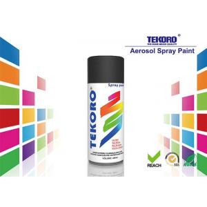 Interior & Exterior Enamel Spray Paint Various Colors For Furniture / Bicycles
