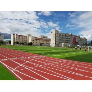 China Force Reductio 400 Meter Running Track , Cold Climate Proof Artificial Running Track  supplier