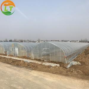 China Film Cover Metal Frame Greenhouse Easy to Install and Ideal for Growing Various Plants supplier