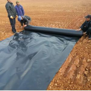 China Modern Design ISO9001 Geomembrane for Fish Pond Lining and Tailings Dam Direct Sales supplier