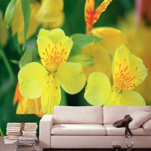 China DJ01-042S Yellow Nov Woven Fabric Flower Interior Decoration Wallpapers (OEM) supplier