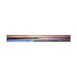 China 28Panneau LCD de 0,6 pouce Pour LG LD290EJN-FPN1 écran LCD Panneau d'affichage debout au sol supplier