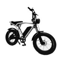 China 1460*320*840mm REMOVABLE BATTERY Hot E-Bike Fat Tire Mountain Bike Electric Bicycle on sale