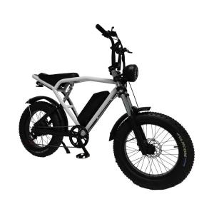 1460*320*840mm REMOVABLE BATTERY Hot E-Bike Fat Tire Mountain Bike Electric Bicycle