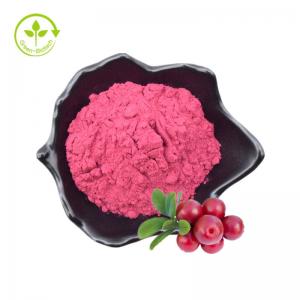 Active Ingredient Cranberry Extract 25% Proanthocyanidins Powder