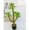 Height 100cm Artificial Landscape Trees Pachypodium Lamerei Drake Indoor Decor