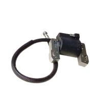 China Gasoline Generator Ignition Coil BS Twin Cylinder Maintenance Parts on sale