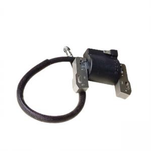 China Gasoline Generator Ignition Coil BS Twin Cylinder Maintenance Parts supplier