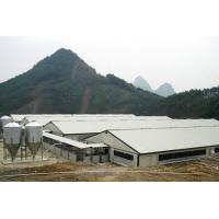 China XGZ Steel Structure Poultry House Customized Size And Layout on sale