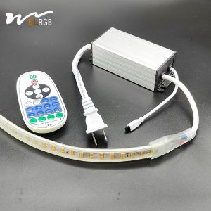 China 2024 Voltage LED Light Bar Dimmer Bluetooth APP Remote Control Monochrome LED Lamp Neon Lamp Controller with 2- on sale