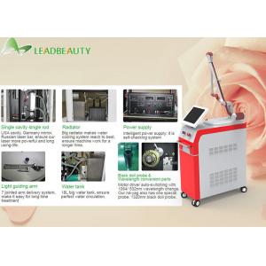 China a remoção a mais atrasada da tatuagem do laser do Q-interruptor do poder de entrada 1300W para a máquina do uso da clínica supplier