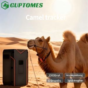 China Durable Camel GPS Tracker GPS BDS WIFI Multi Positioning For Harsh Environment on sale