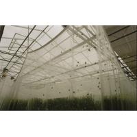 China Plastic Garden Agriculture Anti Insect Netting , Plants Anti Insect Net on sale
