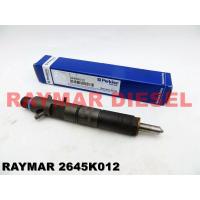 China Perkins Vista 1104C.44TA 2645K012 Delphi Diesel Injectors Delphi Spare Parts Anti Rust on sale