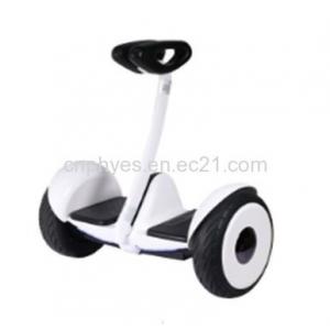Classic Style 10inch Self Balancing Mini Scooter