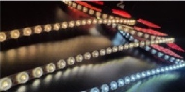 China 異なる色と効果 24V 48 ランプ 柔軟な屋外装飾 LED 柔軟な光 on sale