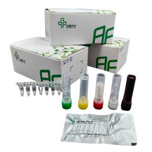 China Kit de detección de patógenos Shigella con detector de fluorescencia isotérmica de exonucleasa wholesale