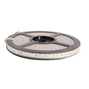 China WW CW Color Temperature Adjustable 24v Led Strip Lights Waterproof IP67 CCT Dimmable Led Tape Lights wholesale