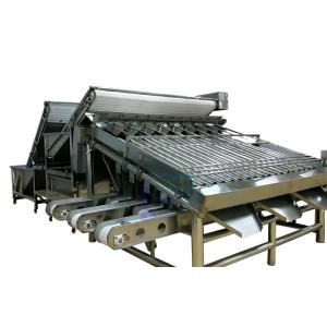 Roller Shrimp Grading Machine Multipurpose Stainless Steel Material