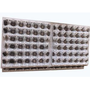 Machine Thermoforming Mould Design Egg Tray Mold Making Blister Packaging