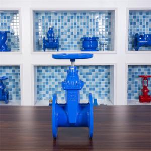 Copper Nut Resilient Seat Gate Valve GGG40 Pn16 Double Flanged Gate Valve