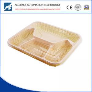 XG-P Disposable Plastic Containers / Plastic Takeaway Food Container OEM Available