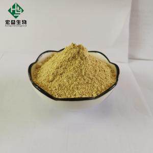 Loquat Leaf Extract Ursolic Acid Powder Purity 25%