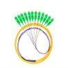 China FTTH FTTB FTTXネットワークのためのよい耐久性の繊維光学のピグテールの多彩な単モード wholesale