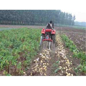 China Two Rows Small Agricultural Machinery Small Scale Farming Equipment supplier