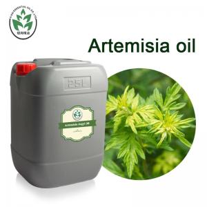 China Natural Pure Artemisia Argyi Essential Oil Whole Body Massage Oil Whitening Spa For Women supplier