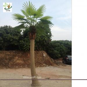 UVG PTR038 eco friendly decorative outdoor fake palm trees for sale
