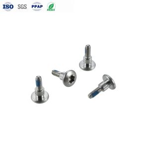 機械組み立て用のカスタム製の耐腐蝕機械スレッドヘッシングスクリュー オプション DIN/ISO/ANSI/DIN/Bsw/JIS/GOST/GB