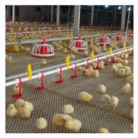 China Chicken Coop Automatic Poultry Farm Equipment With Ventilation System on sale