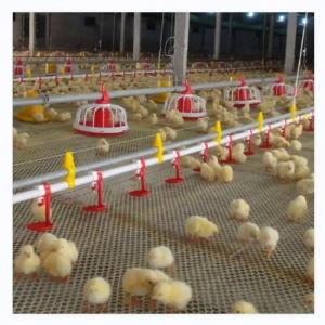 China Chicken Coop Automatic Poultry Farm Equipment With Ventilation System supplier