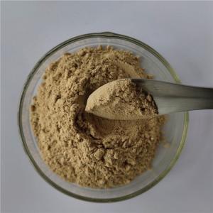 Indian Bread Extract For Anti Cancer Capsules