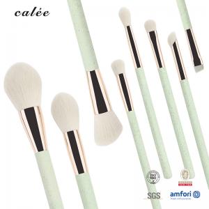 8pcs Plastic Handle Travel Makeup Brush Set Synthetic Hair And Aluminium Ferrule With PVC Package Box