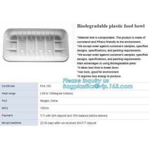 SUGARCANE CUPS PLATE BOWL CONTAINERS, ECO FRIENDLY BIOGERADABLE CULTERY, PLA TRAY, STARCH BASED PRODUCTS compostable
