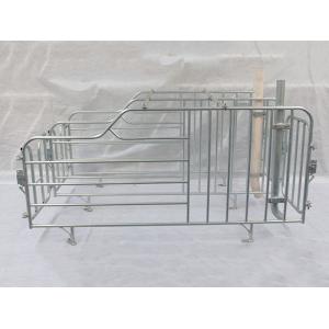 High quality cheap price automatic farrowing crate for pigs sow sty farming equipment for sale