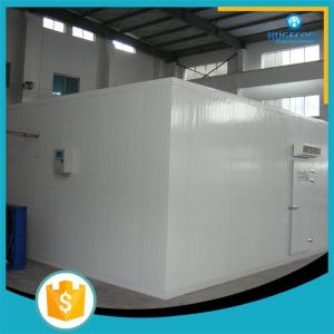 China Refrigerator Freezer Modular Cold Room With B2 Grade Fire Retardant Panel supplier