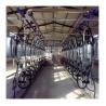 China 24-100 point Cow High Efficient Dairy Milking Parlor Dairy Farm Machine wholesale