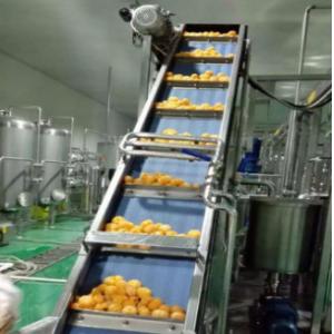 Fully Automatic System Citrus/Orange Juice Processing Line