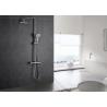 Dual Handle Wall Mounted Thermostatic Shower Set ROVATE 5 Mode Handle Shower