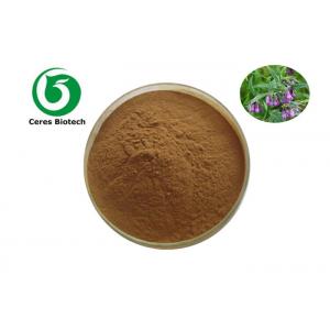 Pharmaceutical Grade Herb Extract Powder Organic SpergulaRia RuBra