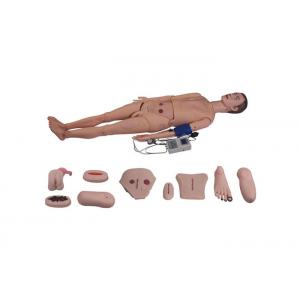 Full Functional Human Body Anatomy Model With Blood Pressure Simulator