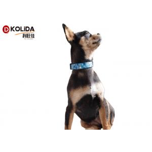China Material Nylon Sport Dog Collar Lightweight Adjustable Fit Dog Training / Walking supplier